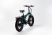 Электровелосипед OMA Electric FE17-R1