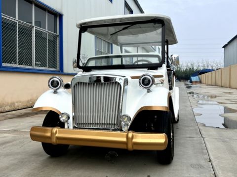 Гольфкар восьмиместный Retro Car BM-V8 (4000W 48V)
