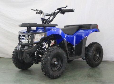 Квадроцикл GreenCamel Гоби K24 (36V 800W R6 Цепь)