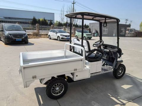 Гольфкар GreenCamel Сонора A2C New (2+Cargo 2500W 130/90-10' литые) пониженная