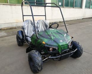 Багги GreenCamel Намиб T009 (60V20Ah 1500W R7) Дифф